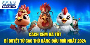 Cách xem gà tốt - Bí quyết từ cao thủ hàng đầu mới nhất 2024