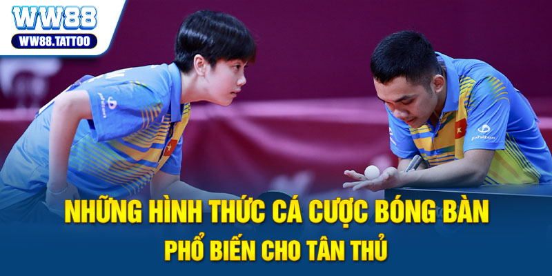 Những Hình Thức Cá Cược Bóng Bàn Phổ Biến Cho Tân Thủ