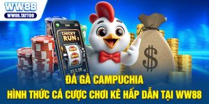 Đá Gà Campuchia - Hình Thức Cá Cược Chọi Kê Hấp Dẫn Tại WW88