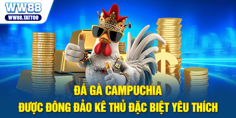 Đá gà Campuchia được đông đảo kê thủ đặc biệt yêu thích