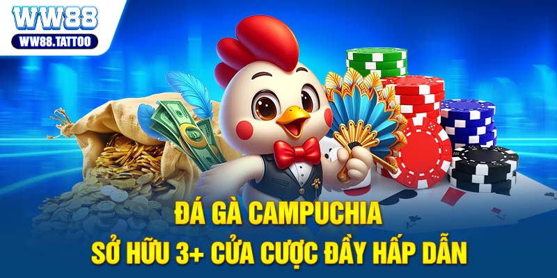 Đá gà Campuchia sở hữu 3+ cửa cược đầy hấp dẫn