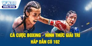 Cá cược boxing - Hình thức giải trí hấp dẫn có 102