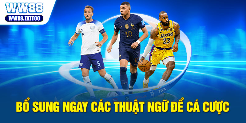 Bổ sung ngay các thuật ngữ để cá cược